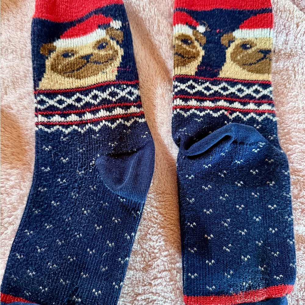 Festive Pug Pattern Socks - Navy and Red